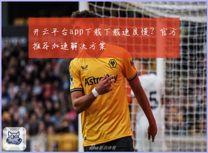 开云平台app下载下载速度慢？官方推荐加速解决方案
