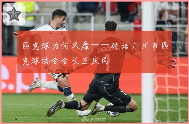 匹克球为何风靡——对话广州市匹克球协会会长王庆民