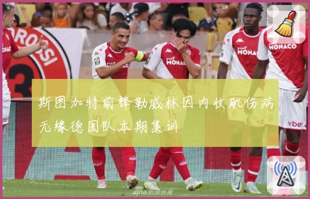 斯图加特前锋勒威林因内收肌伤病无缘德国队本期集训