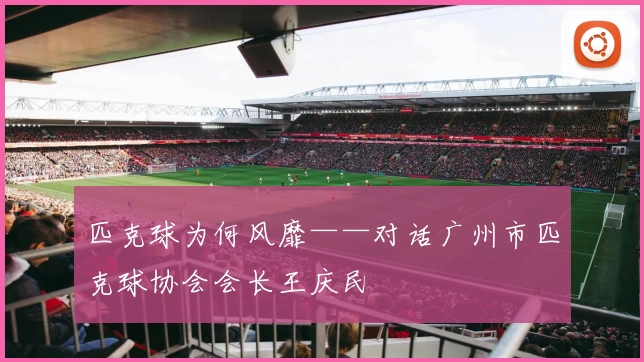 匹克球为何风靡——对话广州市匹克球协会会长王庆民