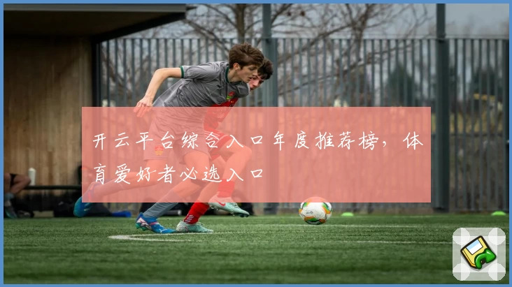 开云平台综合入口年度推荐榜，体育爱好者必选入口